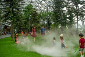 Singapore: Jewel Changi Airport Direct Entry Ticket