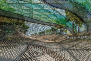 Singapore: Jewel Changi Airport Direct Entry Ticket
