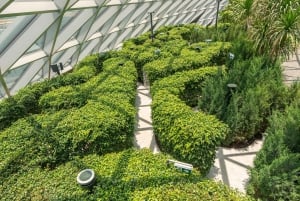 Singapore: Jewel Changi Airport Direct Entry Ticket