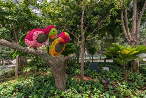 Singapore: Jewel Changi Airport Direct Entry Ticket