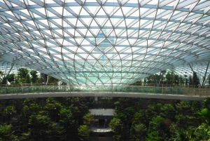 Singapore: Jewel Changi Airport Direct Entry Ticket