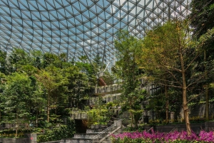 Singapore: Jewel Changi Airport Direct Entry Ticket