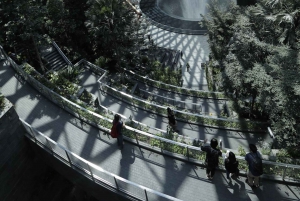 Singapore: Jewel Changi Airport Direct Entry Ticket