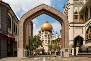 Singapur: tour guiado a Kampong Glam con aperitivos locales