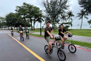 Singapore: Food and Bike Tour: Katong District