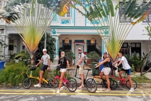 Singapore: Food and Bike Tour: Katong District