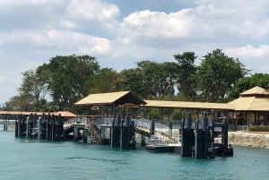 Singapore: Kusu Island Heritage Tour with Speedboat Ride