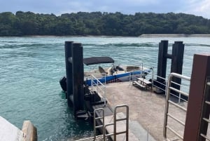 Singapore: Kusu Island Heritage Tour with Speedboat Ride