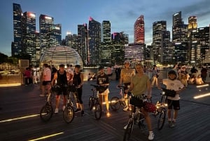 Singapore: Light to Night Bike Tour