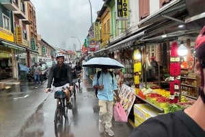 Singapore: Light to Night Bike Tour