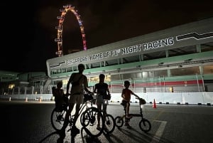 Singapore: Light to Night Bike Tour