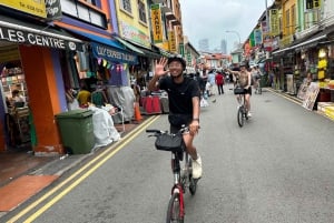 Singapore: Light to Night Bike Tour