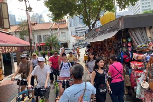 Singapore: Lion City Highlights Bike Tour