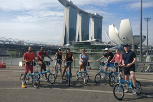 Singapore: Lion City Highlights Bike Tour