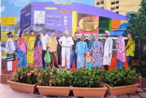 Singapore: Tour culturale accessibile di Little India con spuntini