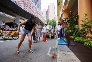 Singapore: Oplevelsestur med kultur og mad i Little India