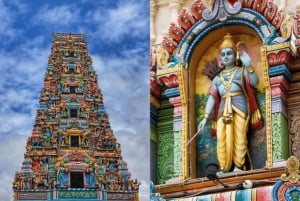 Singapore: Little India, Tekka Centre & Temple Gided Tour