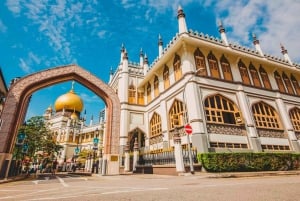 Private Singapore Trio of Tastes: Chinese, Malay, Indian