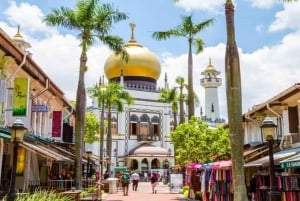 Private Singapore Trio of Tastes: Chinese, Malay, Indian