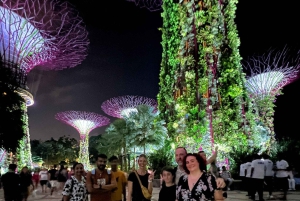 Cingapura: Excursão a pé noturna pela Marina Bay