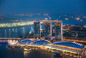 Singapore: Marina Bay Sands Entry Ticket or Sampan Ride