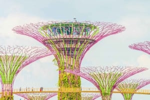 Singapore: Marina Bay Sands & Gardens By The Bay & Transfer