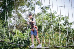 Singapore: Mega Adventure Park Activity Ticket