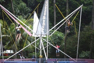 Singapore: biglietto per il Sentosa Megazip al Mega Adventure Park