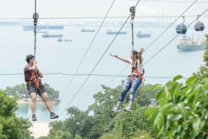 Singapore: Mega Adventure Park Activity Ticket