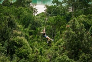 Singapore: biglietto per il Sentosa Megazip al Mega Adventure Park