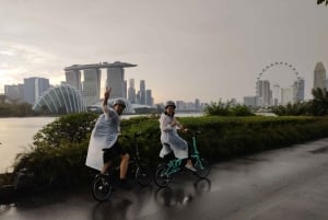 シンガポール：現代の奇跡 サイクリング&ウォーキングツアー