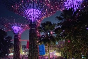 シンガポール：現代の奇跡 サイクリング&ウォーキングツアー