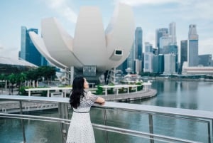 Singapur: Chwile w mieście Prywatna sesja zdjęciowa