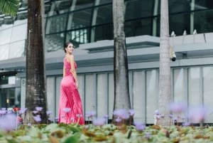 Singapore: Øyeblikk i byen privat fotografering