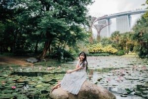 Singapore: Øyeblikk i byen privat fotografering