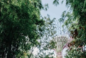 Singapore: Øyeblikk i byen privat fotografering