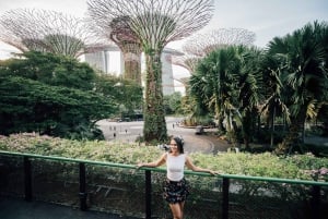 Singapore: Øyeblikk i byen privat fotografering