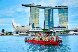 Singapore: City Tour with Cloud Forest and Supertree Tickets