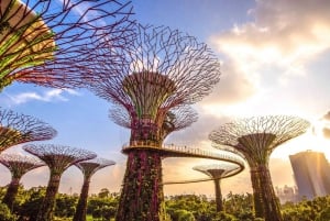 Singapore: City Tour with Cloud Forest and Supertree Tickets