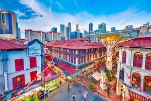 Singapore: City Tour with Cloud Forest and Supertree Tickets