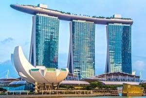 Ochtendtour Singapore: Gardens by the Bay & Sentosa Transfer