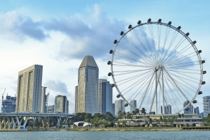 Ochtendtour Singapore: Gardens by the Bay & Sentosa Transfer