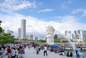 Ochtendtour Singapore: Gardens by the Bay & Sentosa Transfer