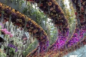Ochtendtour Singapore: Gardens by the Bay & Sentosa Transfer