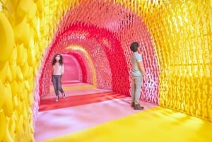 Сингапур: входной билет в Музей мороженого