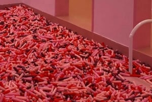 Singapura: bilhete para o Museu do Gelado com recolha no hotel