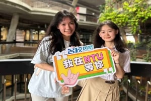 Singapura: excursão a pé guiada por estudantes da NTU/NUS