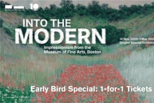 Сингапур: билеты в Национальную галерею с полным доступом