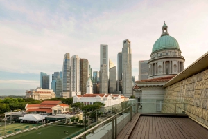 Singapour : Billets d'accès complet à la Galerie Nationale