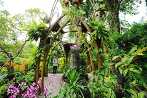 Singapore: National Orchid Garden Admission